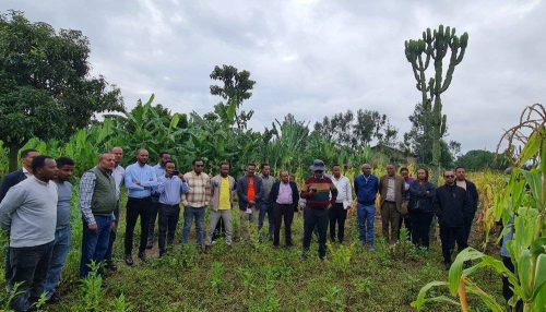 537039690 1174896104659428 1919368727338086838 n