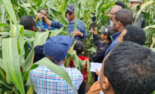 537134034 1174894361326269 3035192231834189861 n