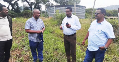 548896112 1197402979075407 1199773642029401483 n