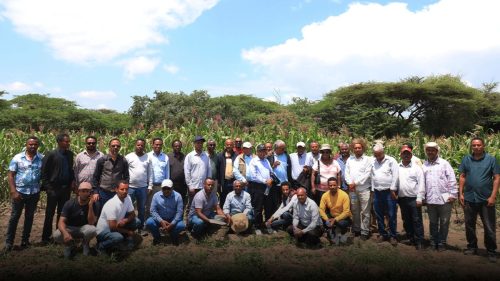 558369491 1214715310677507 3785134010757974579 n