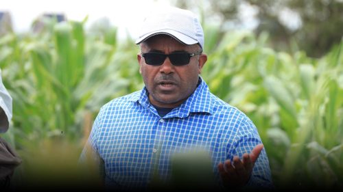 558905071 1214714830677555 6299125204821402304 n