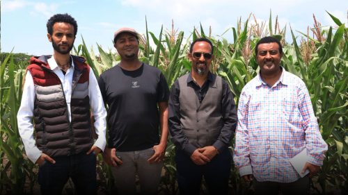 558911901 1215156467300058 1283779534719070505 n