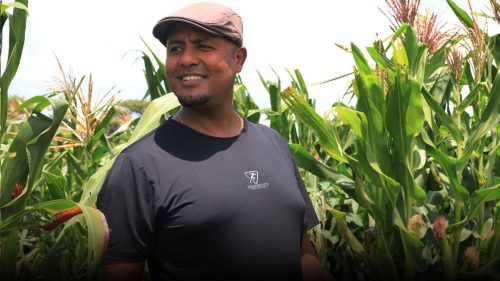 558971220 1215156367300068 3869773710562266002 n