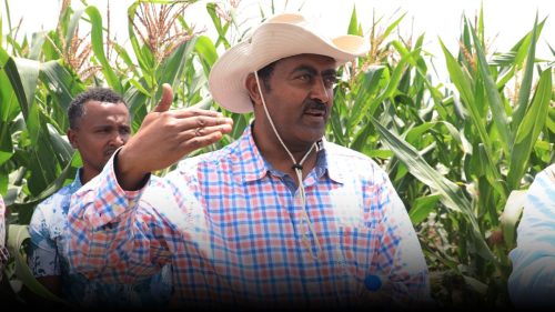 559019103 1215156343966737 88882350826521414 n