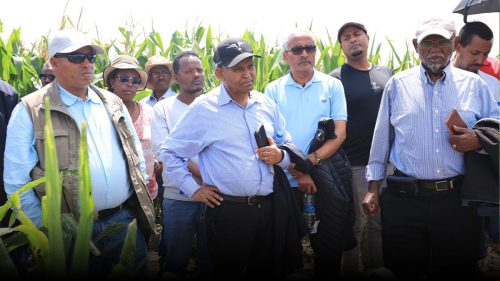 559074198 1214715227344182 4925793528445727513 n