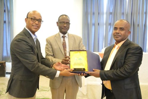 559110995 1213799497435755 8179220266789896629 n