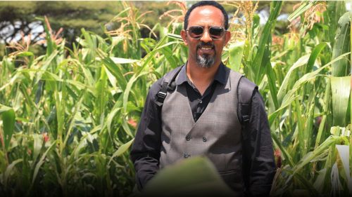 559565062 1215156373966734 6122450172018956952 n