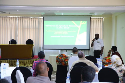 photo 5974155786701621461 y